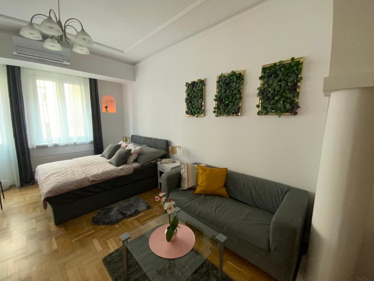 Elegant In The Centre With Ac Apartment Budapest